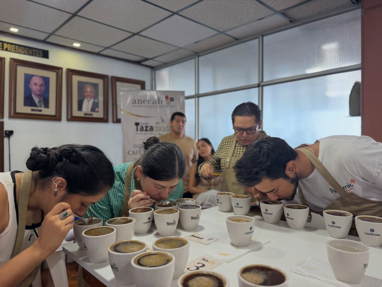 Foto(ANECAFÉ): Loja lidera la final de Taza Dorada 2026 con 19 microlotes