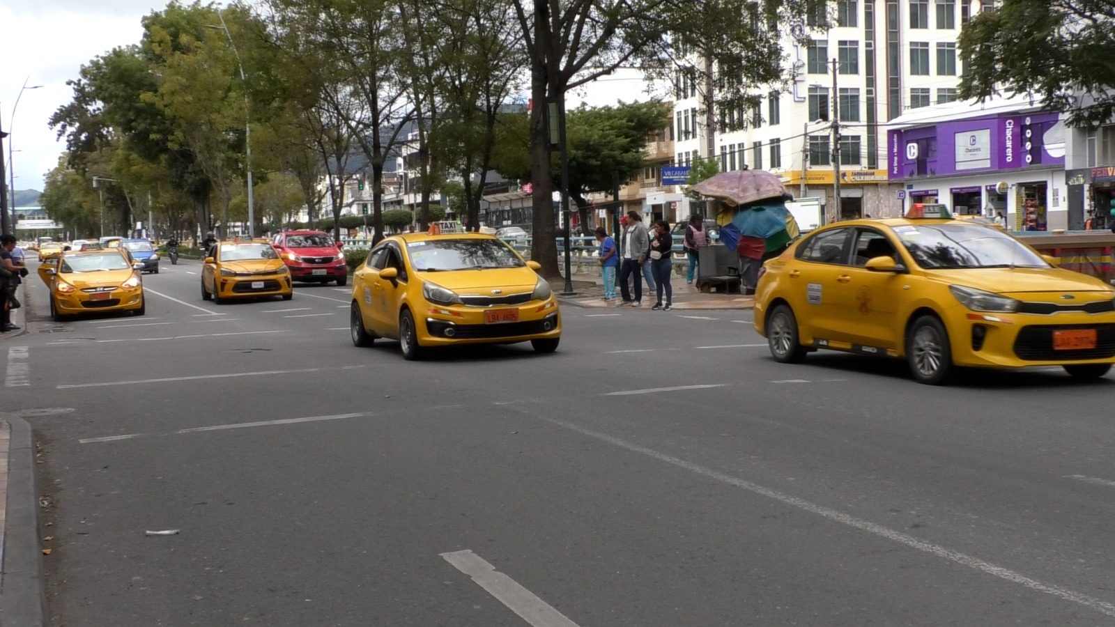 Las aplicaciones permiten solicitar taxis desde el teléfono celular