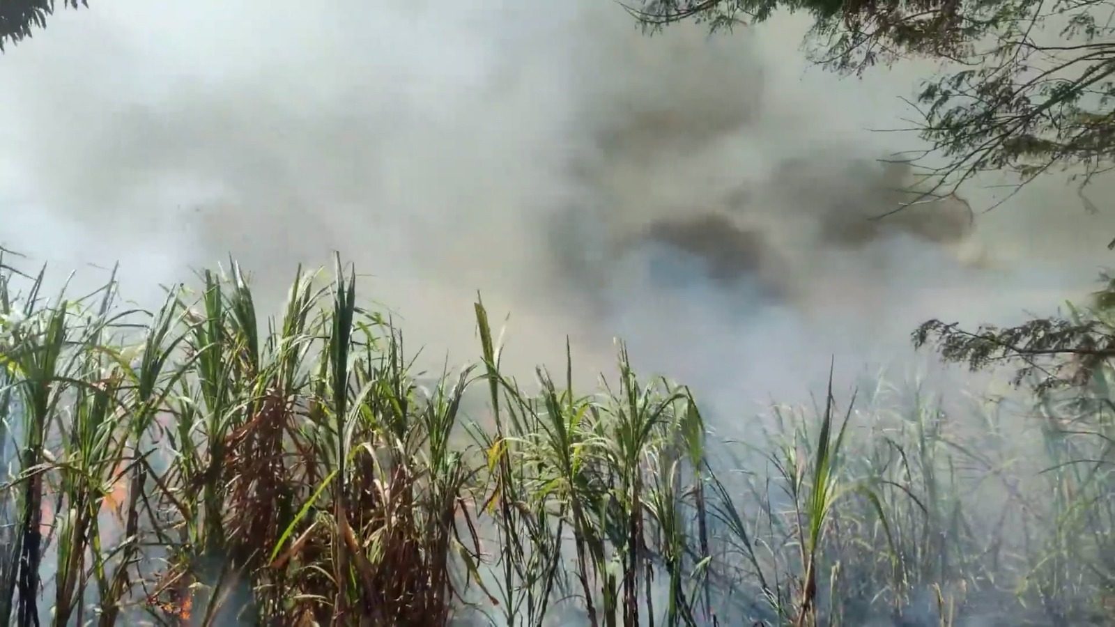 Los recientes incendios en Catamayo reavivan la preocupación por la contaminación ambiental.