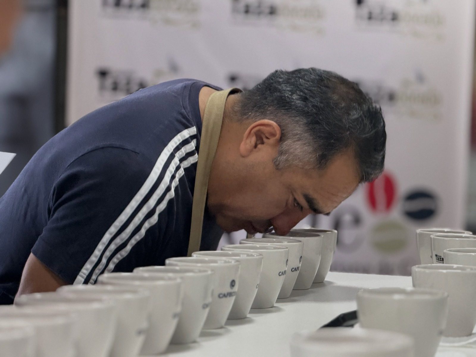 Experto plantea fortalecer la investigación científica para mejorar la calidad del café ecuatoriano.