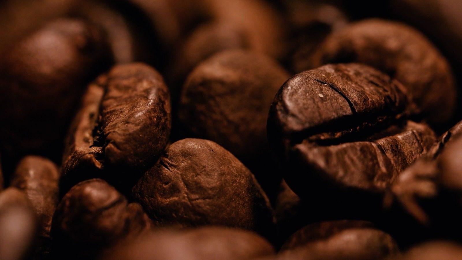 El trabajo de los caficultores lojanos es el principal protagonista de este reconocimiento