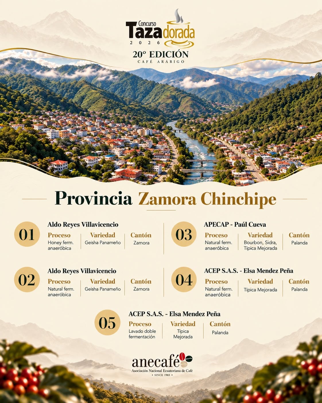 Microlotes finalistas de la provincia de Zamora Chinchipe.  Foto: ANECAFÉ