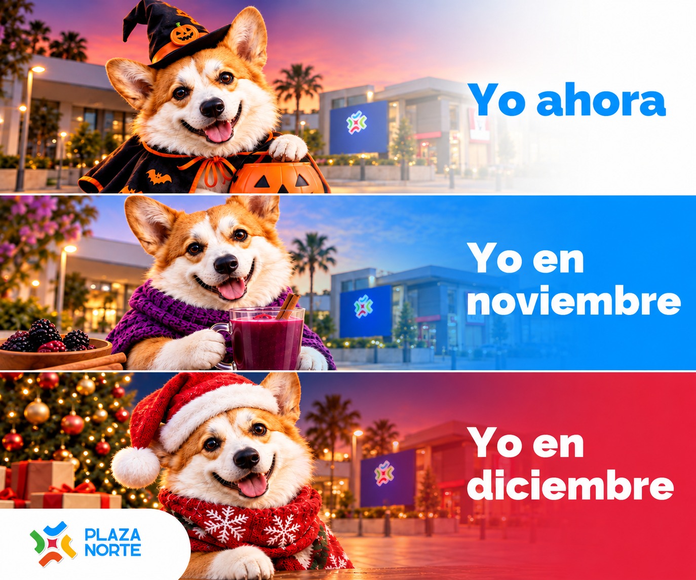 Publicidad